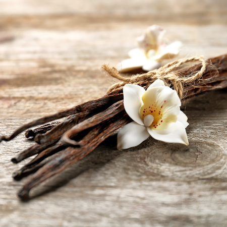 Vanilla Bean Fragrance Oil Canwax Candle & Soap Supplies