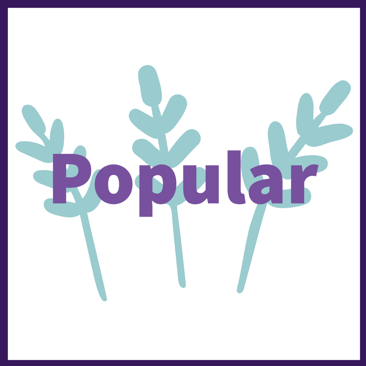 EO Collection, Popular – Canwax