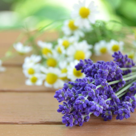 (1231)Lavender Fragrance CD V系 FRLavCham_1_450x.png?v=1735612750