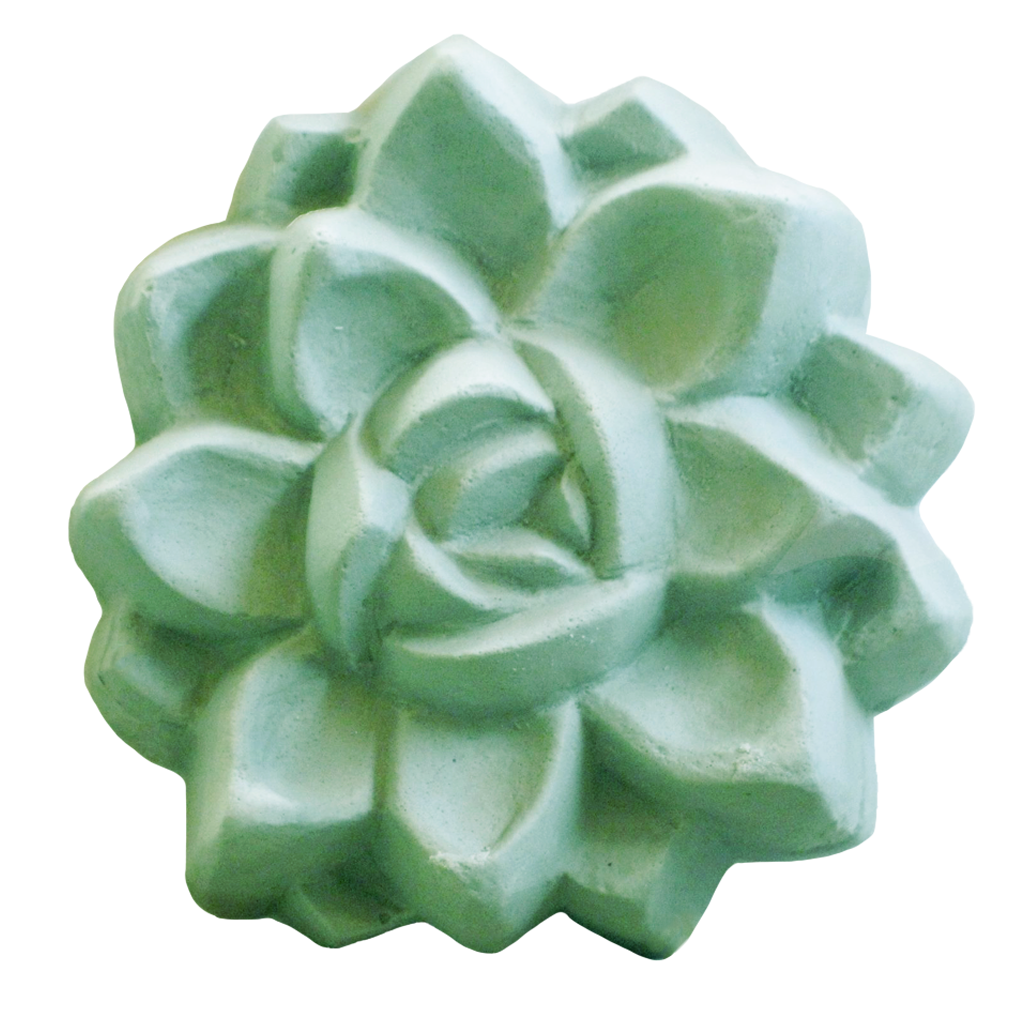 Milky Way Mold, Succulent (MW 249)