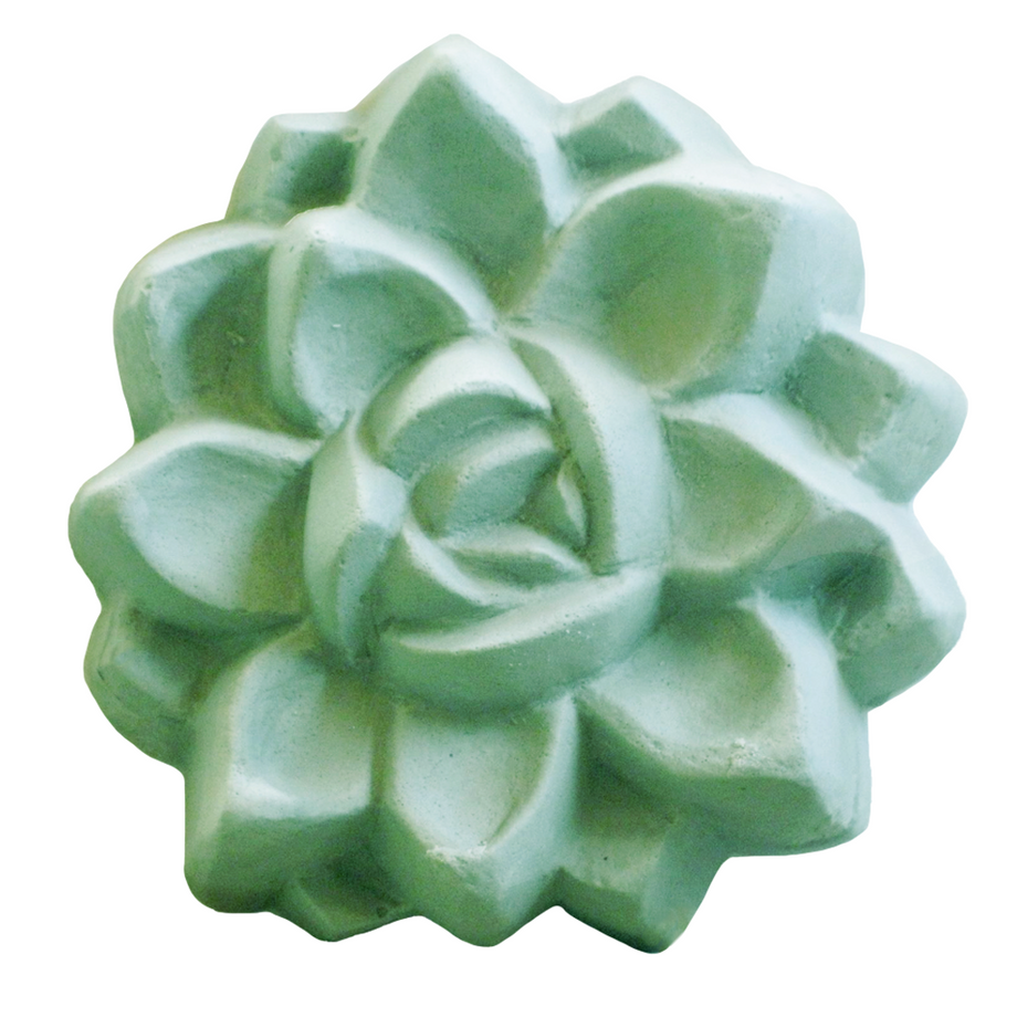 succulent soap mold Milky Way Mold, Succulent (MW 249) – Canwax