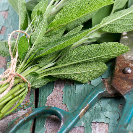 Fragrance, Blue Sage