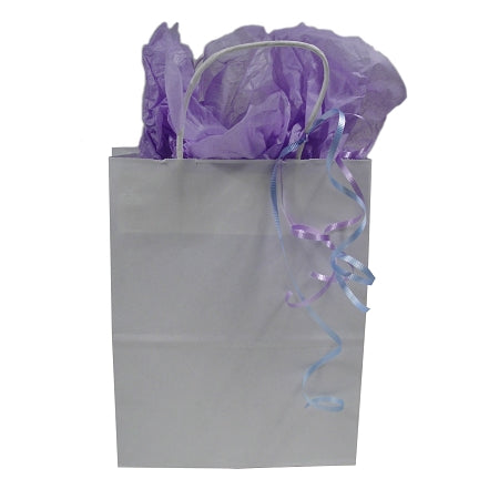 Gift Bag, White (8x4x10)